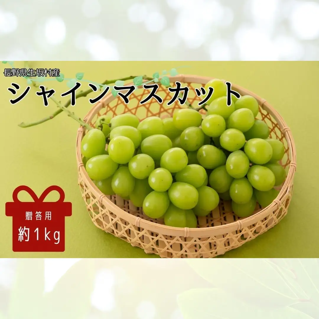 【2026年先行予約】シャインマスカット 約1kg (2房) 贈答用 株式会社野の香 | シャインマスカット