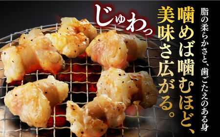 【塩だれ】 九州産和牛 ホルモン 丸腸 500g（250g×2袋）長与町/岩永ホルモン [EAX116]国産 牛肉 小分け 味付き 冷凍 焼肉