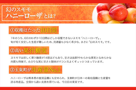 ハニーローザカップケーキセット 熊本県玉名郡玉東町 すもも ハニーローザ ぷらっとぎょくとう《60日以内に出荷予定(土日祝除く)》 