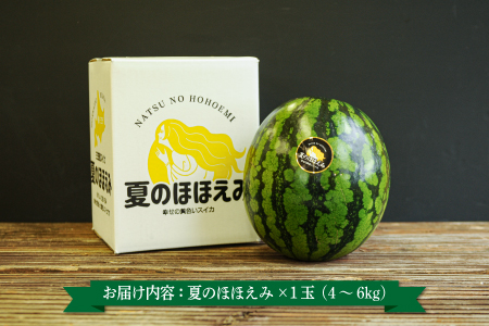 《2026年分受付中》黄色いスイカ夏のほほえみ1玉(4～6kg)【01146】