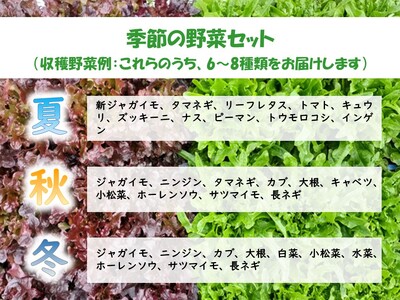 くさぶえ農園『季節の野菜6～8品目セット』（2026年7月～2027年3月出荷／北海道・沖縄・離島は配送不可）高原 無農薬 産地直送 新鮮 旬彩 簡単レシピ 先行予約 【 産直 高原野菜 季節の野菜 旬の野菜 有機野菜 有機栽培 農薬 化学肥料 不使用 佐久市 】