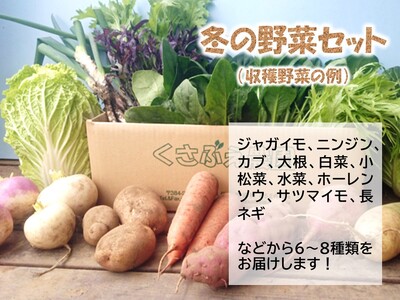 【3ヶ月定期便】くさぶえ農園『冬の野菜6～8品目セット』（2026年11月～2027年3月出荷／北海道・沖縄・離島は配送不可）高原 無農薬 産地直送 新鮮 旬彩 簡単レシピ 先行予約【 産直 高原野菜 旬の野菜 有機野菜 有機栽培 農薬 化学肥料 不使用 佐久市】