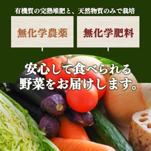 生命の農法 （ 無化学農薬 ・ 無化学肥料栽培 ） 季節 の 野菜 セット | 慈光会自然食品販売所