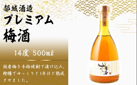 都城酒造 ほろ酔い梅酒2本≪みやこんじょ特急便≫_AO-6701_(都城市) プレミアム梅酒 14度 500ml 2本 都城酒造 梅酒