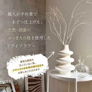 TSUKIGI みつまた 50cm～80cm 【 白枝 インテリア オブジェ 3本セット 枝 白 モダン おしゃれ ドライフラワー ナチュラル アロマブランチ 天然 国産 槻木 多良木町 】 048-0586