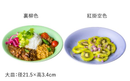 【波佐見焼】料理を引き立たせる 大皿 14色セット 食器 皿 【DRESS】 [SD37] 波佐見焼