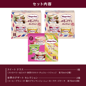 ハーゲンダッツ『限定アソート3箱』アイスクリーム アイス_H0016-169