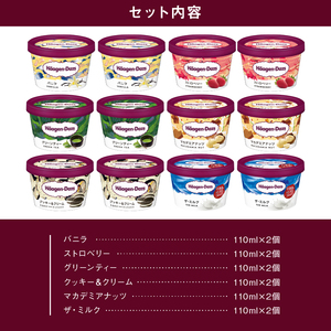 【着日指定できます】ハーゲンダッツ『ミニカップ12個(定番＆ザ・ミルク)』 アイスクリーム アイス_H0016-112