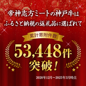 神戸牛 福袋 帝神 おまかせコース F  サーロインステーキ 肩スライス 牛カルビ ももステーキ もも焼肉 バラ肉 すじ肉