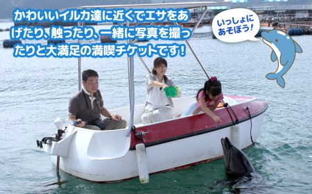 イルカとふれあうFor family 体験 チケット | 体験 津久見市