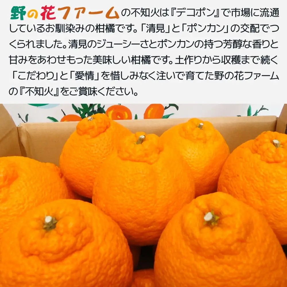 【先行予約・数量限定】野の花ファーム 不知火 6kg 手選別完熟 | みかん ミカン オレンジ 果物 大分県 九州 津久見市 国産