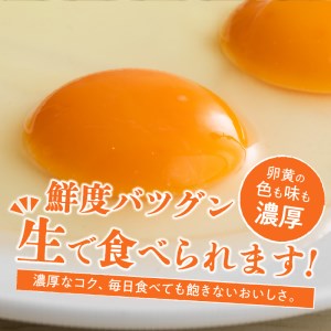 ☆彡12か月定期便☆彡　北杜のたまご（30個入） [h199]