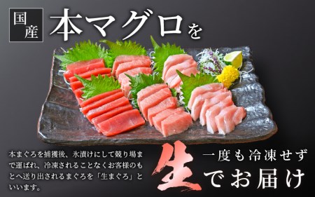 まぐろの王様！生本マグロ！まぐろ三昧おためしセット合計300g前後（赤身・中トロ・大トロ各約100g） [e04-a083] 