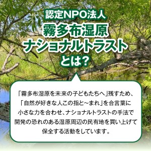 霧多布湿原を中心とする環境保全活動への寄附　霧多布湿原を中心とする環境保全活動への寄附 20,000円 寄附 支援 寄付のみ 返礼品無し 寄付金 霧多布湿原 国定公園 花の湿原 景観保全 動植物の保全 湿原を再生 環境 保全 活動 調査研究事業 地元 町内 NPO法人 ナショナルトラスト 北海道 浜中町_270401