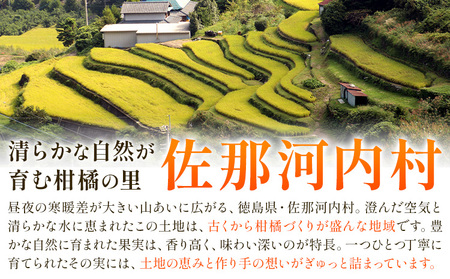 ゆず 訳あり 柚子 約1.2kg ゆず