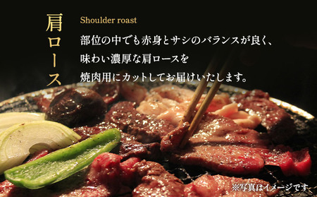 牛肉 くまもとあか牛 肩ロース すき焼 ・ しゃぶしゃぶ用 約1kg(約500g×2パック) 