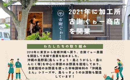 沖縄島とん満足セット【古謝ぐゎー商店】