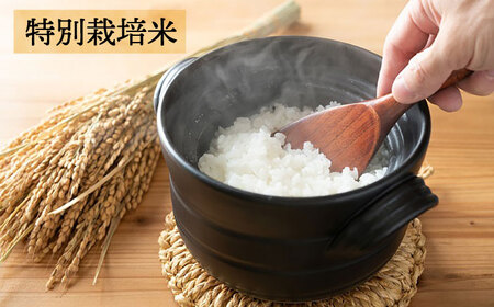 【全6回定期便】【☆畑直送☆栽培期間中農薬不使用！】お 米 2kg & 野菜 5品 の セット 糸島市 / オーガニックナガミツファーム 	[AGE037]