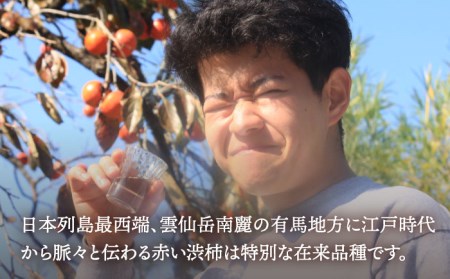 【業界誌 (料理通信) お宝食材コンテスト ベスト20選出】天然 酵母 柿酢 300ml×2本 / 6年熟成 柿 かき カキ お酢 酢 発酵食品 / 南島原市 / 中邨 [SAG009]