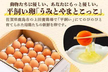 たまご 鶏卵 【定期便】佐賀鹿島産 平飼い初卵「うみとやまとこっこ」 上田養鶏場 たまご60個×3回 卵タマゴ  玉子焼きD-117