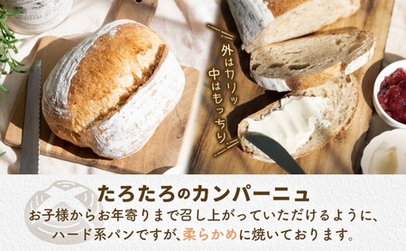 カンパーニュ 8個 セット ぱん パン あんこ 小麦 農林61 ふすま 生地 醗酵 濃厚 芳醇 香り もっちり 食感 ハード系 ぱん工房 たろたろ 埼玉県 嵐山町