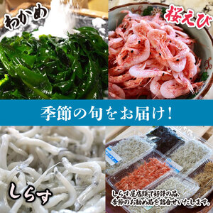 しらす 味が自慢の駿河湾産しらす屋のおすすめ 2回 発送 定期便 しょうゆ しらす 干し 釜揚げ 料理 丼 チャーハン パスタ うどん ごはん おかず おすすめ 新鮮 海 海鮮 静岡県 牧之原市 ヤマカ藤田商店