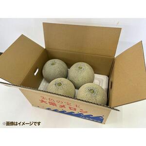739.【先行予約】【ＪＡ】大栄メロン　プリモレッド（赤肉）赤秀3Ｌ×5玉　※着日指定不可　※離島への配送不可　※2026年9月末頃～10月下旬頃に順次発送予定