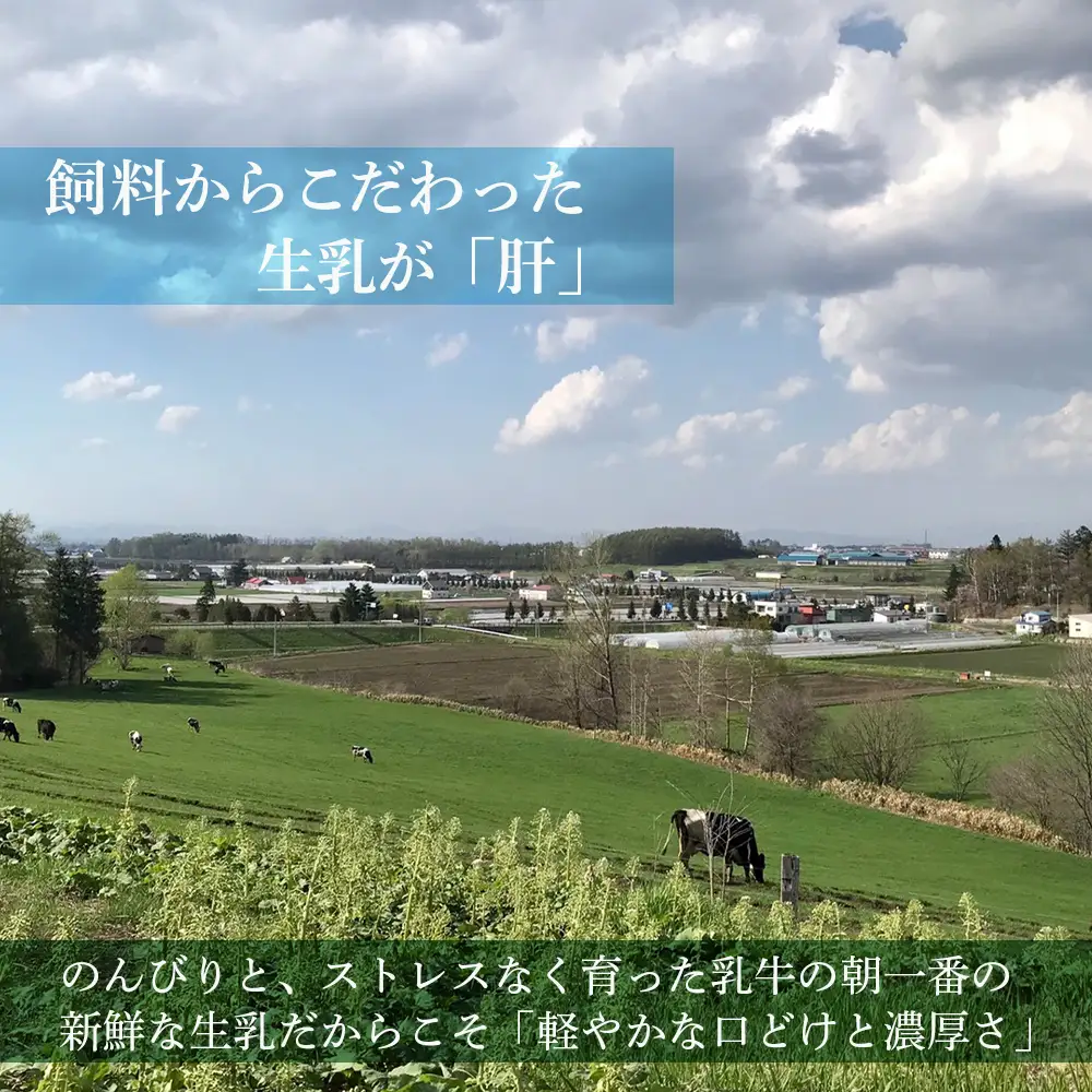 全6回★アイスクリームの定期便＜田村ファーム＞