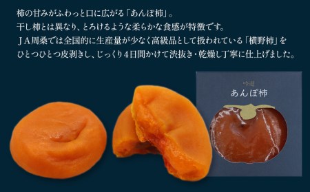 愛媛県西条産「吟選  あんぽ柿（８個）」横野柿 加工品