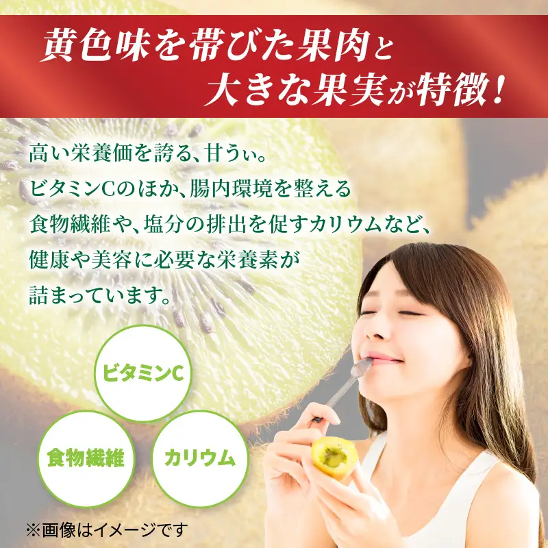 【先行受付：2026年11月頃発送開始】福岡限定品種キウイ「甘うぃ」約3kg<配送不可地域：北海道・沖縄・離島> 先行受付 キウイ キウイフルーツ フルーツ 果物 くだもの 甘い 高糖度 希少 オリジナル品種 新品種 新ブランド 072-147