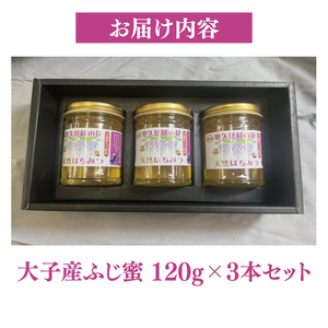 【2026年10月～2027年4月発送】天然はちみつ【大子のふじ蜜 120g×3本セット】|茨城県 大子町 奥久慈 ハチミツ 蜂蜜 プレゼント 包装（BG002）