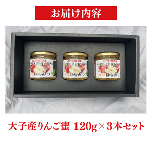 【2026年10月～2027年4月発送】天然はちみつ【大子のりんご蜜 120g×3本セット】|茨城県 大子町 奥久慈 ハチミツ 蜂蜜 プレゼント 包装(BG003)