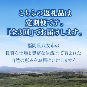 福岡八女 お楽しみ夏のフルーツ定期便Ｃ ＜配送不可：北海道・沖縄・離島＞ フルーツ 定期便 梨 もも シャインマスカット 季節のフルーツ 果物 おすすめ セット 産地直送 福岡県 八女市 072-T028