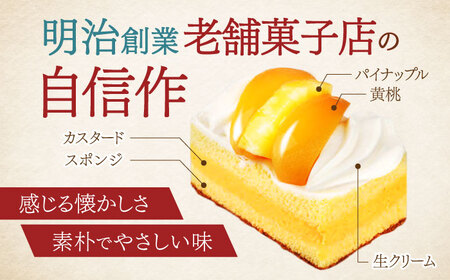 長崎ご当地スイーツシースクリームと半熟カステラ詰合せ / スイーツ シュークリーム カステラ かすてら 菓子 / 諫早市 / 株式会社梅月堂 [AHBN001] 