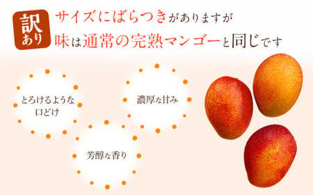 マンゴー 訳あり 宮崎 完熟 マンゴー[約1kg 2～3玉]