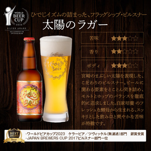 12ヶ月定期便宮崎ひでじビールお楽しみ8本セット N073-YZH035