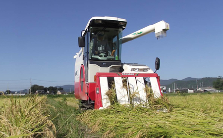 400個限定【令和7年産新米】甲良米 特別栽培コシヒカリ 無洗米 5kg お米 ライス ご飯 ブランド米 銘柄米 お弁当 おにぎり 直送 主食 炭水化物 特別栽培米 時短 