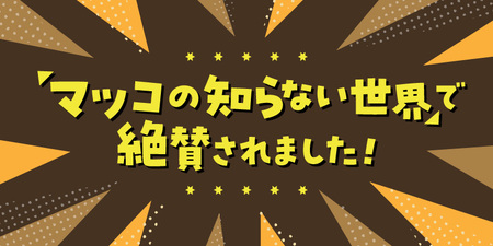 宮崎ひでじビール定番と栗黒8本セット 受賞歴多数 マツコの知らない世界/ クラフトビール の世界TVで紹介(7/18放送) 瓶 330ml 4種 各 2本 箱入り のし対応 ギフト 太陽のラガー 森閑のペールエール 九州CRAFT日向夏Premium 栗黒 送料無料 N073-YZA930