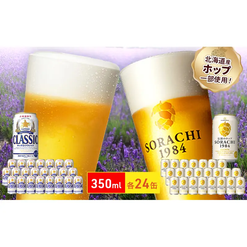 ビールの味くらべ！SORACHI VS クラシック 48缶 (各350ml×24缶×2箱) 缶ビール 飲み比べ お酒 酒 生ビール 飲み物 ギフト プレゼント お土産 贈答用 家飲み 晩酌 パーティー 缶ビールセット 上富良野町 北海道