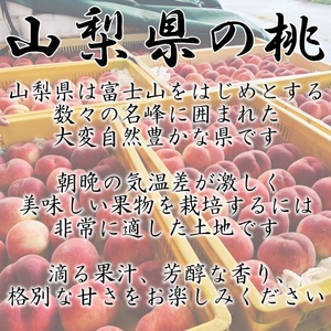 ＜2026年発送先行予約＞山梨県南アルプス市産 高糖度 特選大玉桃 【約2ｋｇ 4～6玉】 ALPAH023
