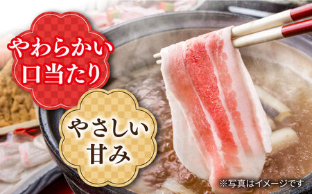 6回定期便 SPF豚 豚肉 バラスライス 1kg SPF豚 訳あり CAG260 豚肉 