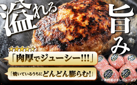3回定期便 ハンバーグ 10個 CBA029 ハンバーグ 和牛ハンバーグ