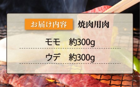 長崎和牛 焼肉 2種セット 計600g ＜株式会社 黒牛＞ [CBA111] 焼肉