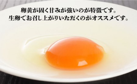 【12回定期便】最高級 卵 地養卵 Mサイズ 90個×12回定期便 長崎県産 西海市 たまご 卵 玉子 タマゴ 鶏卵 オムレツ 卵かけご飯 朝食 料理 人気 卵焼き＜垣山養鶏園＞ [CBB008]
