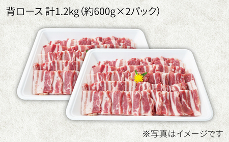 大西海SPF豚 背ロース 焼肉 計1.2kg 訳あり ＜大西海ファーム＞CEK038 焼肉