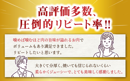 3回定期便 長崎和牛 ヒレステーキ 計600g CEK078] ヒレステーキ ヒレ