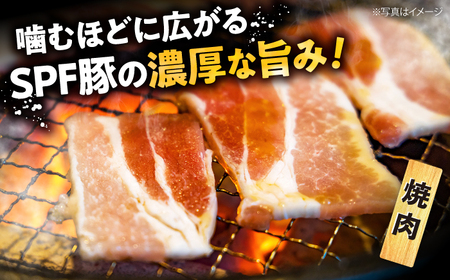 6回定期便 SPF豚 国産豚 2種 計1.2kg 訳あり [CEK089] 豚肉 国産豚