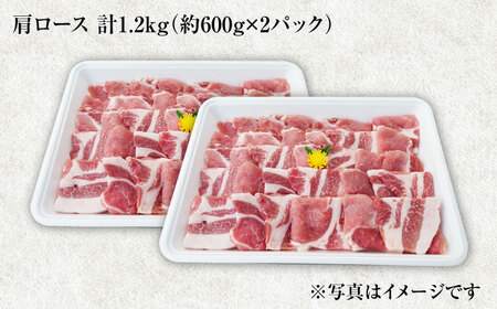 6回定期便 大西海SPF豚 肩ロース 焼肉 計1.2kg 訳あり ＜大西海ファーム＞ [CEK091] 焼肉