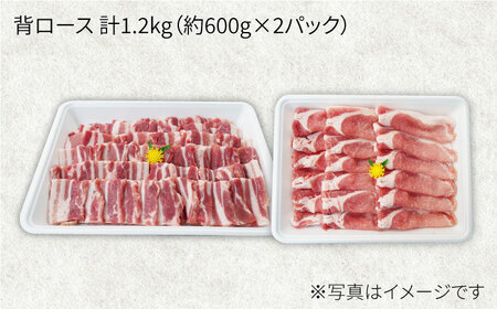 【6回定期便】大西海SPF豚 背ロース（焼肉＆しゃぶしゃぶ用）計1.2kg 訳あり ＜大西海ファーム＞ [CEK098]