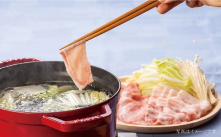 【6回定期便】大西海SPF豚 背ロース しょうが焼き用＆しゃぶしゃぶ用 計1.2kg 訳あり ＜大西海ファーム＞ [CEK101]